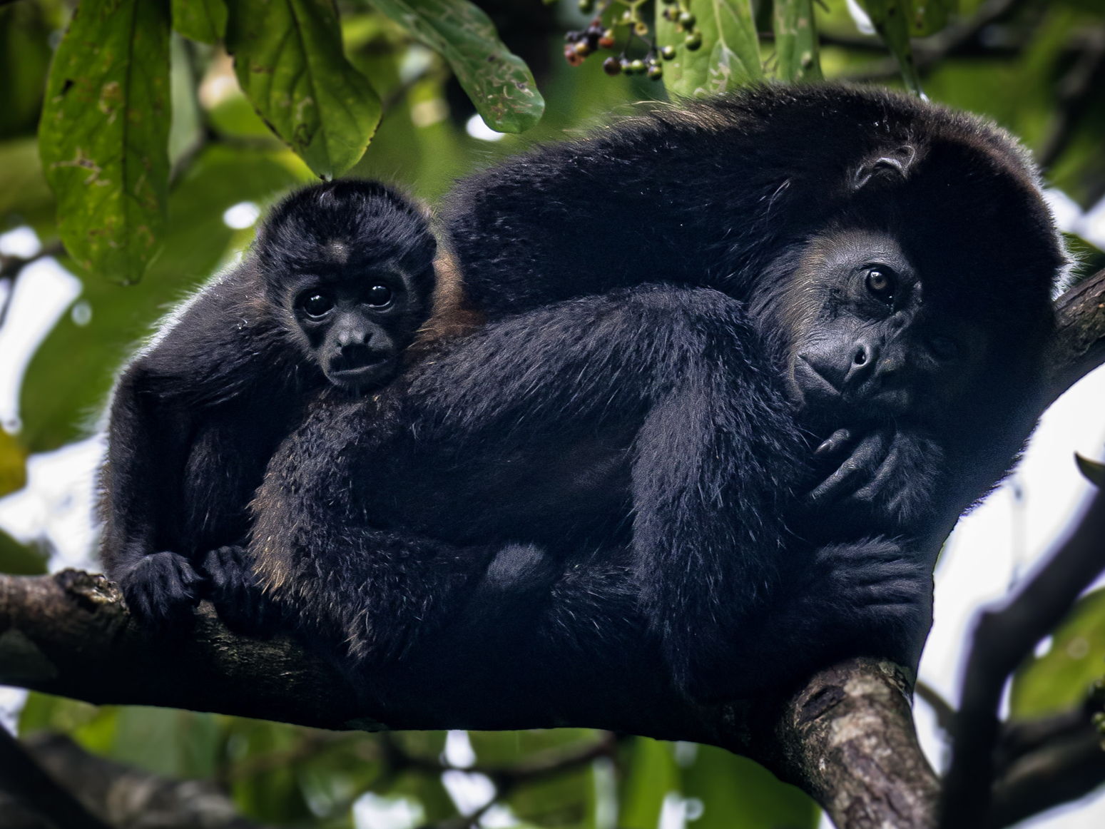 Costa Rica: biodiversidad que se respeta.