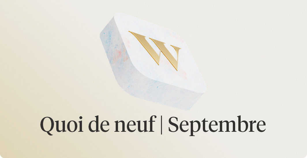 Website preview