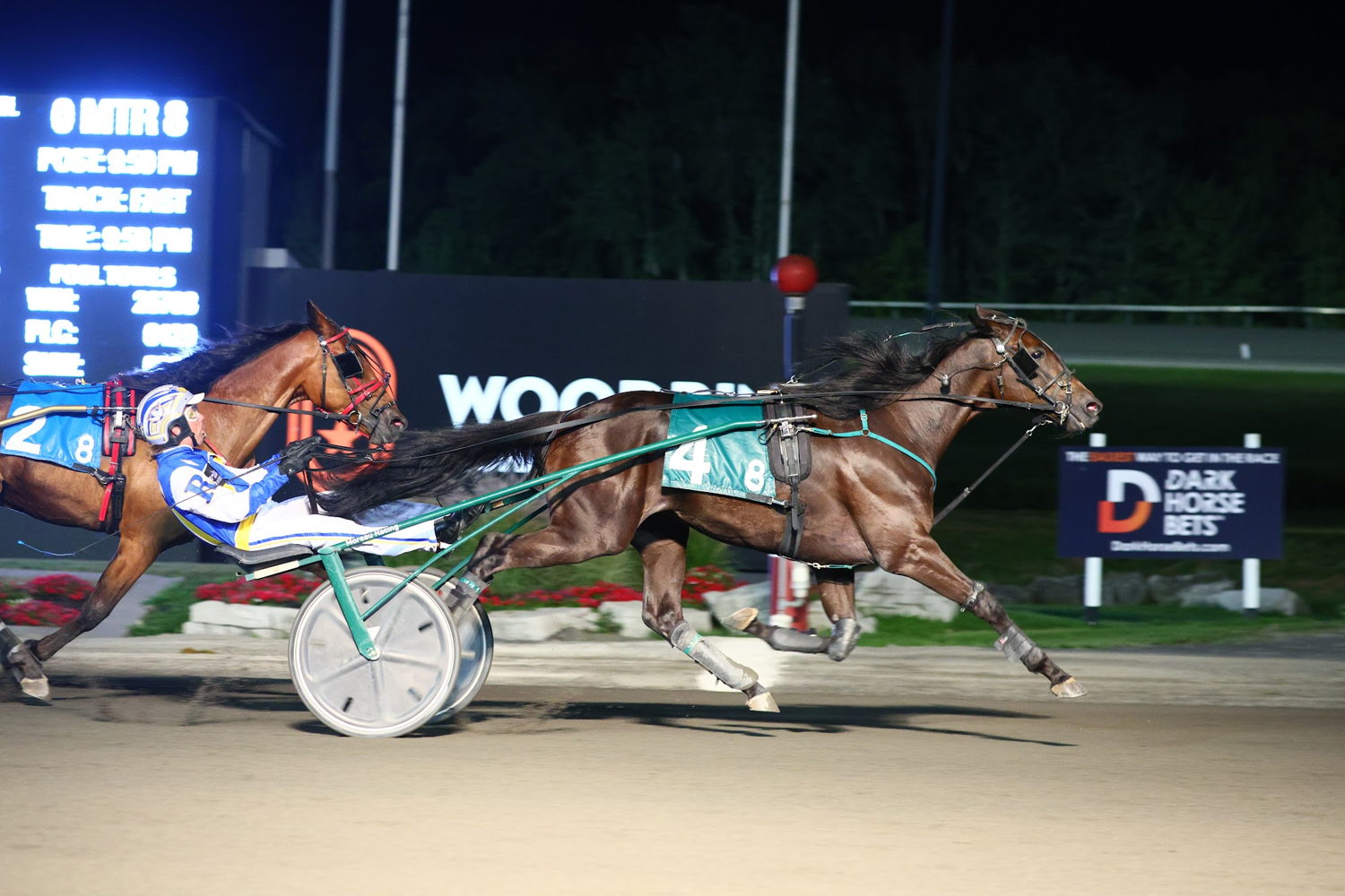 Dws Point Man winning an OSS Gold event. (New Image Media)