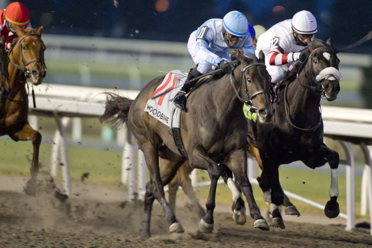 Aristella and jockey Patrick Husbands winning the Princess Elizabeth Stakes on November 30, 2024 at Woodbine (Michael Burns Photo)