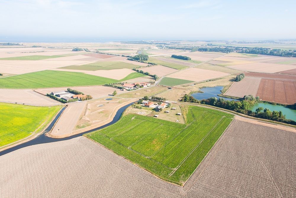 Het landbouwgebied in de Zwinomgeving ©VLM, Herlinde Jacobs Het landbouwgebied in de Zwinomgeving ©VLM, Herlinde Jacobs