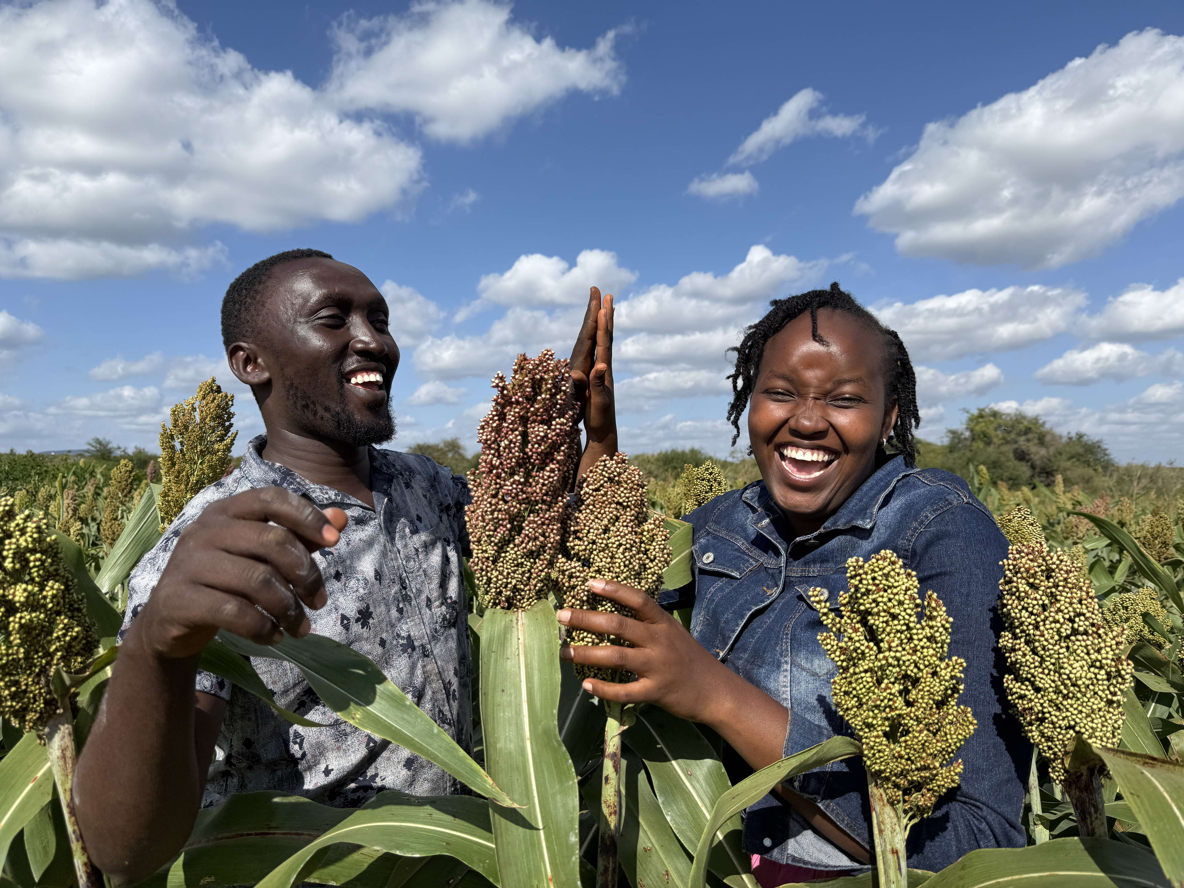 Over 1,000 Farmers in Kenya’s Semi-Arid Regions Trained in Climate-Smart Innovations
