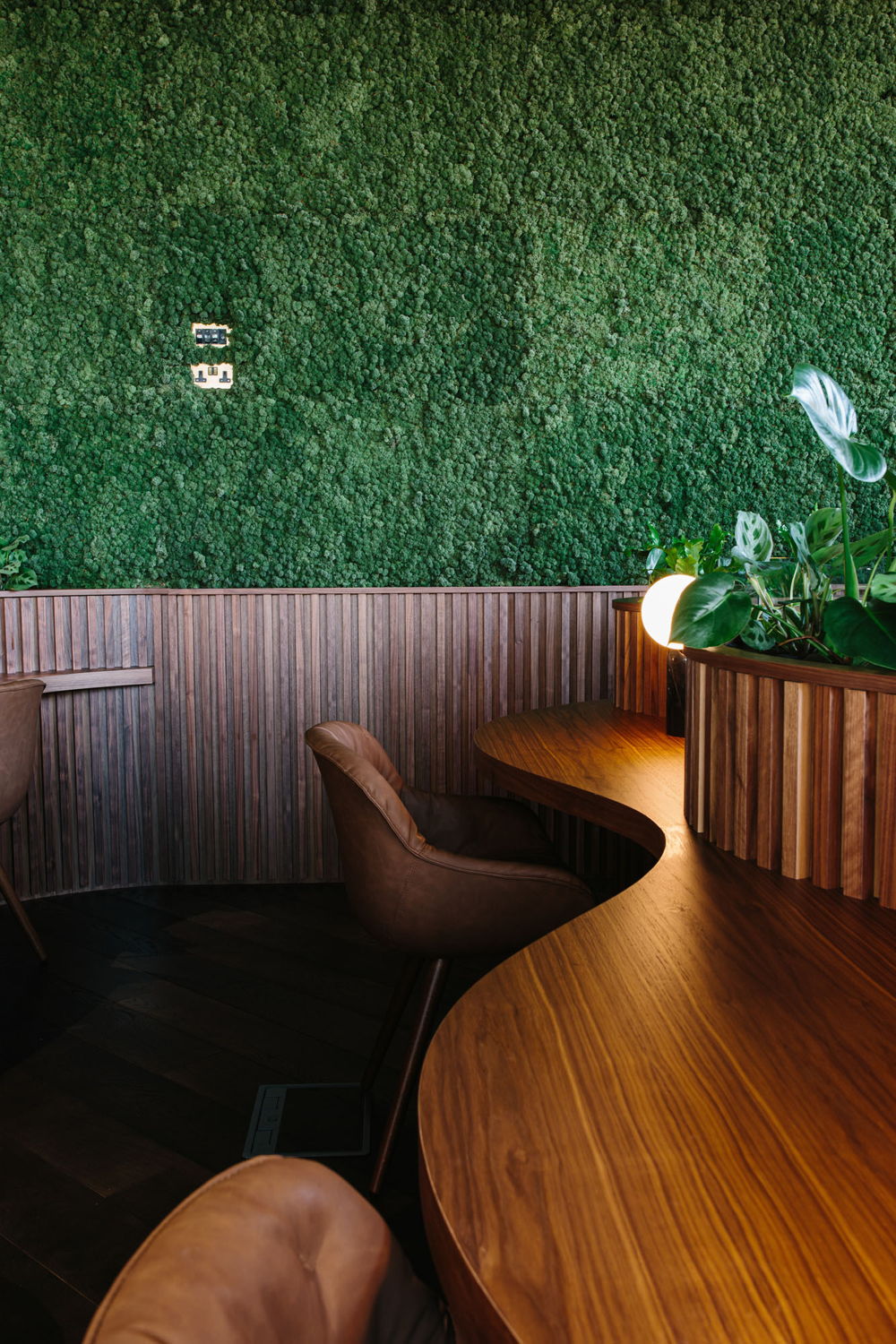 Plant Designs – Biophilic design moss wall