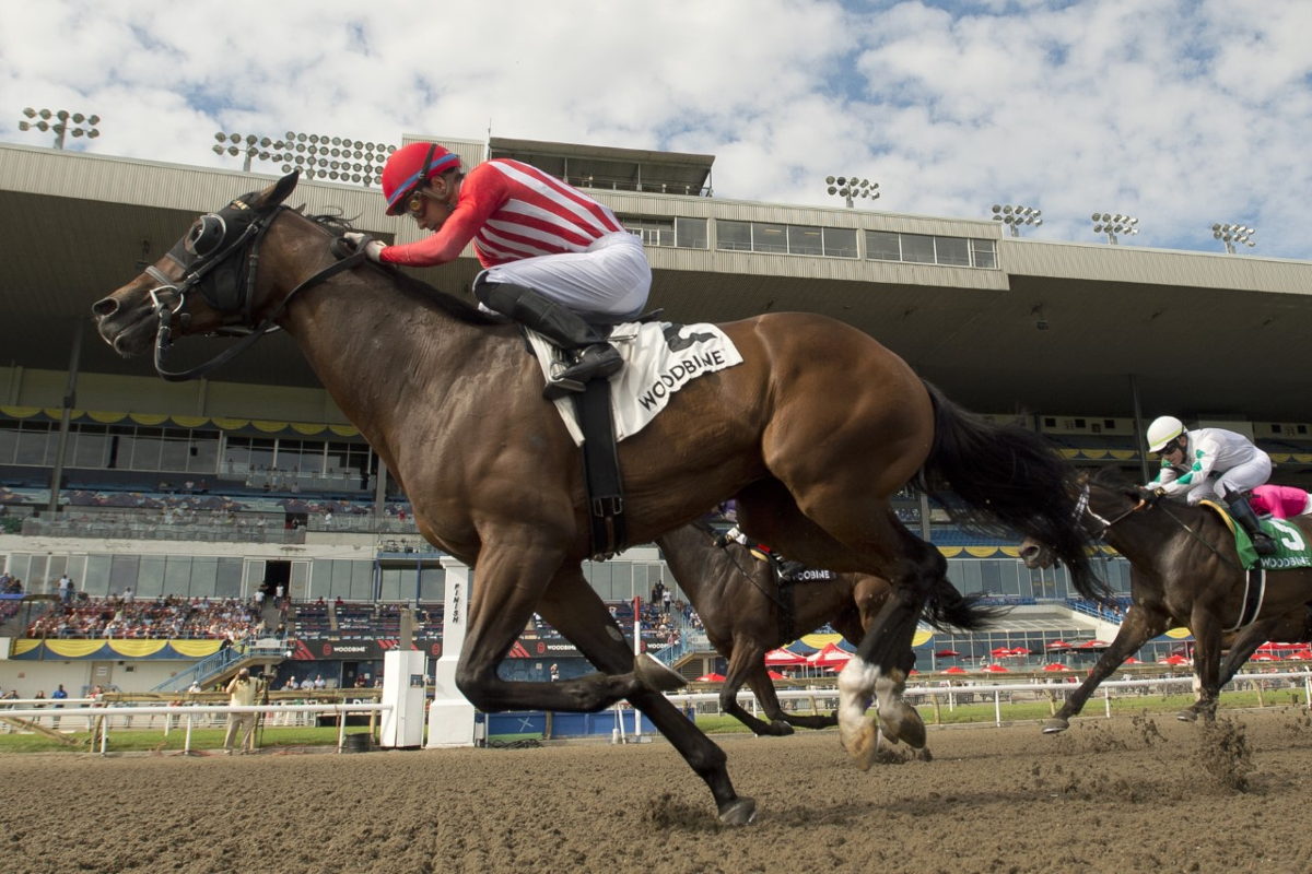 War Bomber winning Sunday's Seagram Cup. (Michael Burns photo)