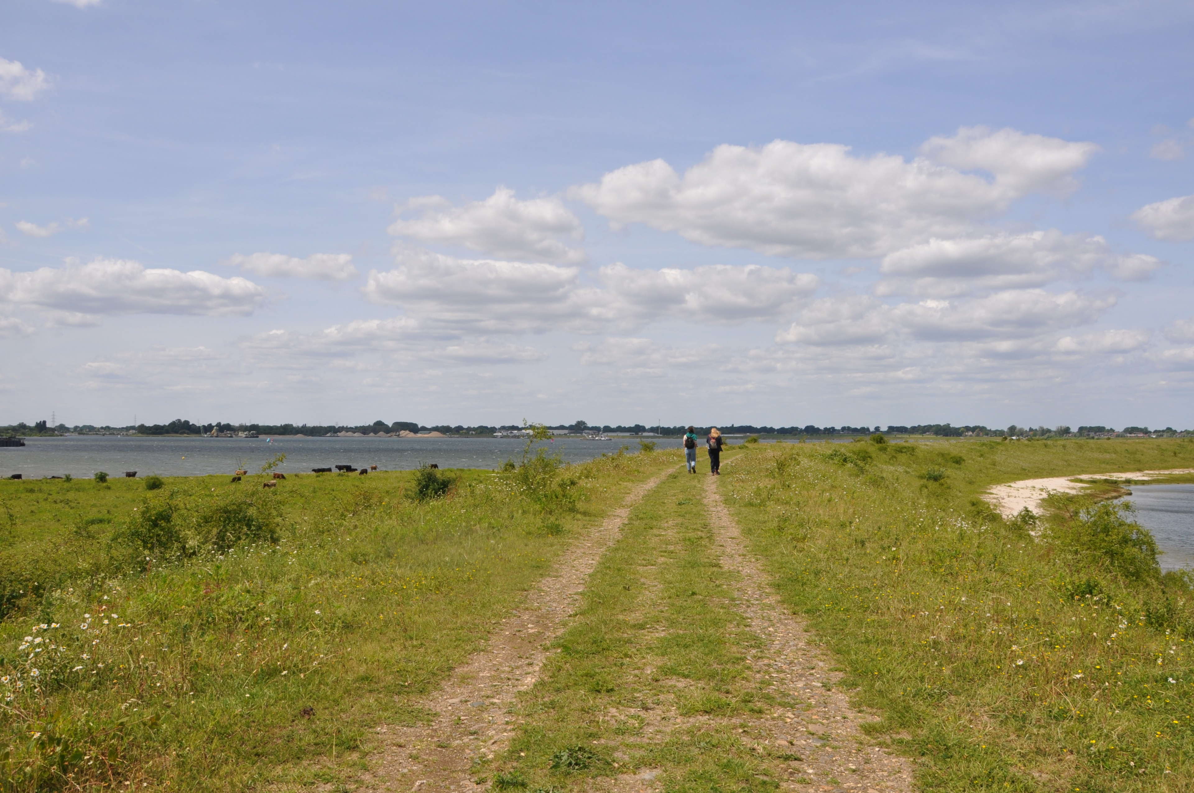 Struinen tussen Maas en tijd