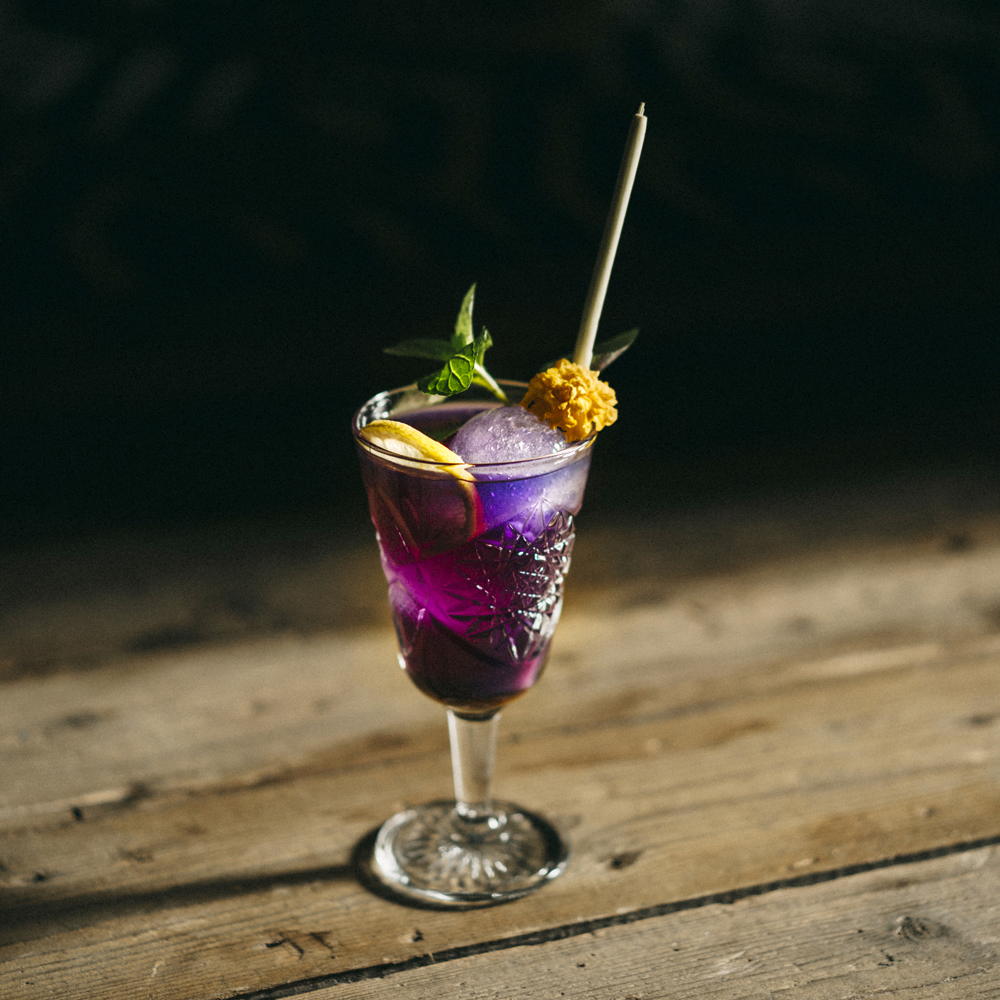 Crusio Thee - Natural Blue Tea - ©ChantalArnts