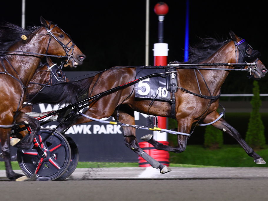Miki And Minnie Mighty in Fan Hanover