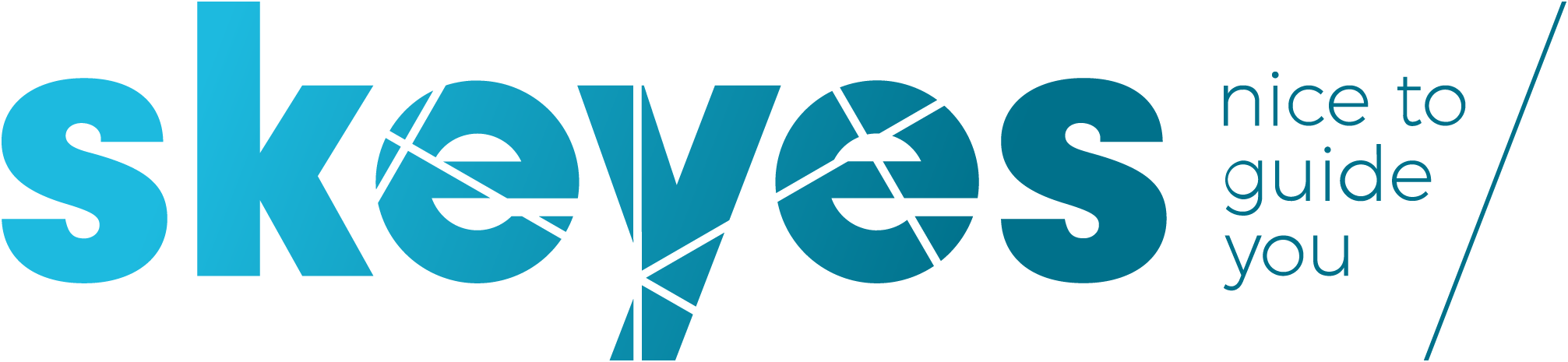 Skeyes logo