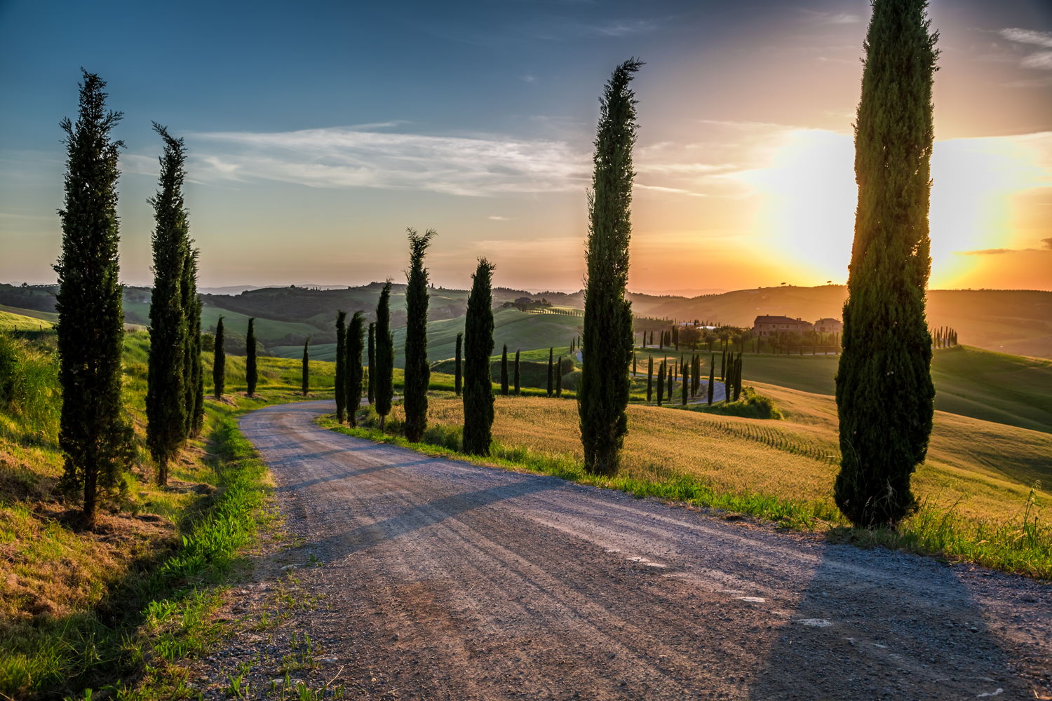 Under the Tuscan sun