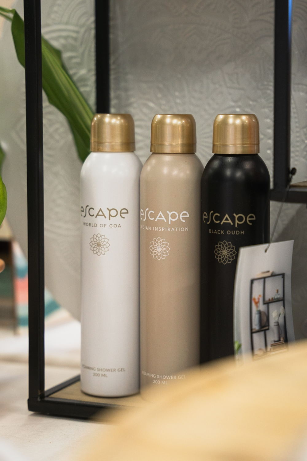 Casa Escape Collection