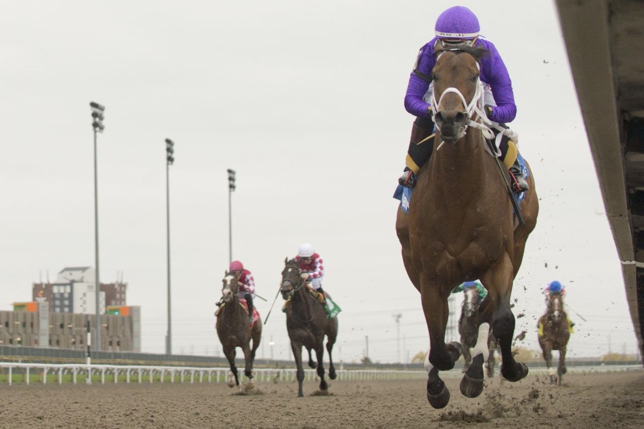 New York Thunder and Jockey Ricardo Santana Jr. winning the Woodstock Stakes on April 30, 2023 at Woodbine (Michael Burns Photo)
