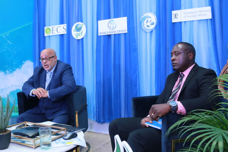 Director General of the OECS, Dr. Didacus Jules; and Head of the OECS Environmental Sustainability Cluster, Mr. Chamberlain Emmanuel, address the virtual audience at the Blue Economy Investors Roundtable - Official Side Event of the OECS  Sustainable Development Movement (SDM 2020).