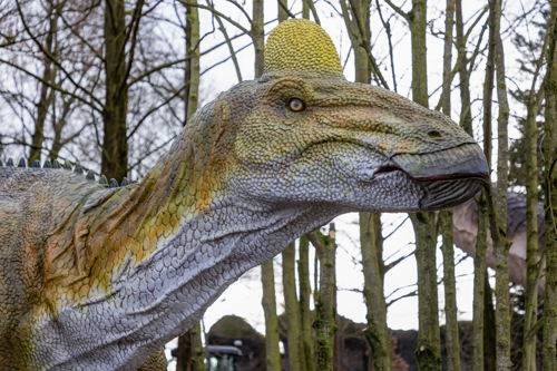 Edmontosaurus