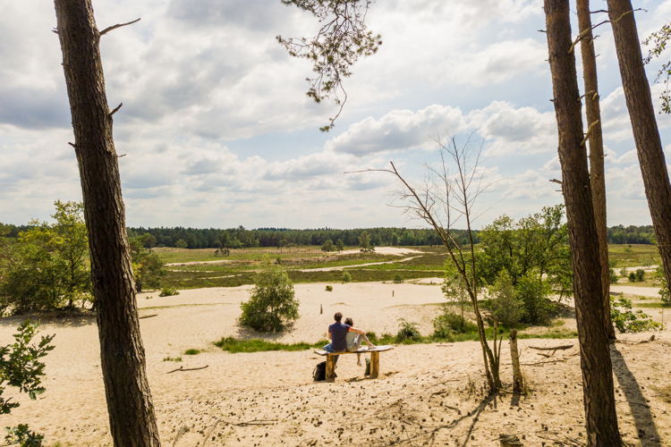 Loons Drunense Duinen