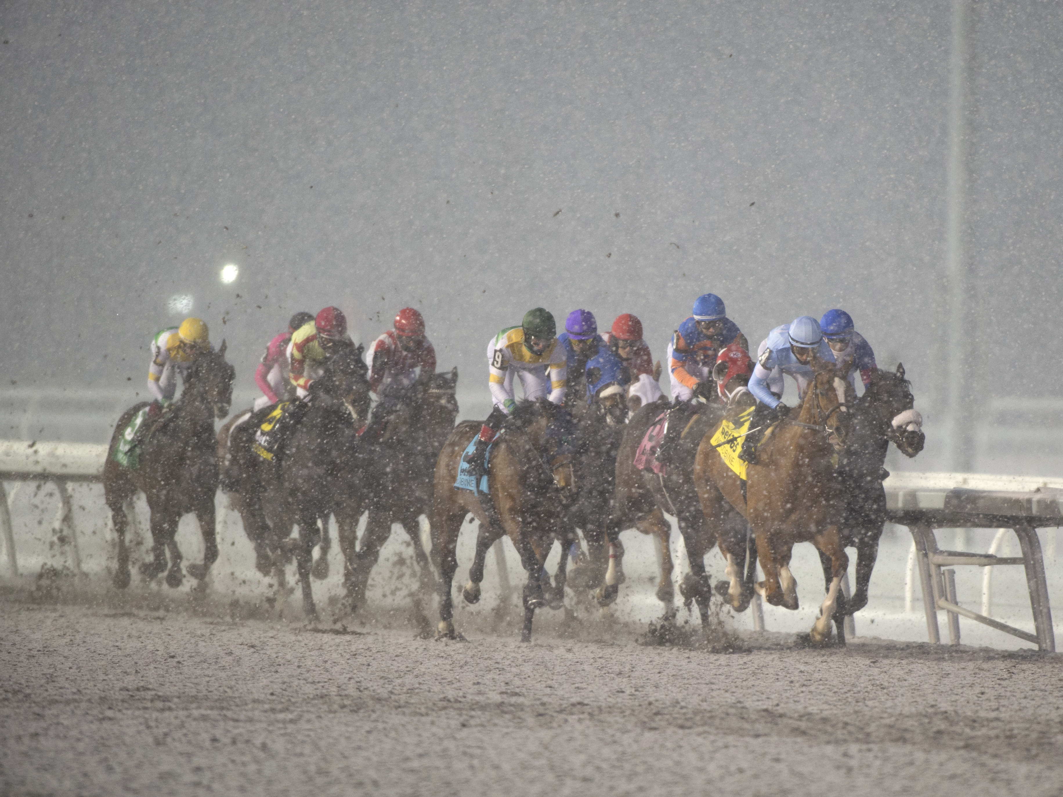 Woodbine Racetrack cancels Sunday card