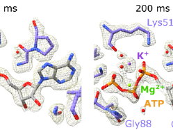 VIB research tackles the bottleneck of time-resolved Cryo-EM 