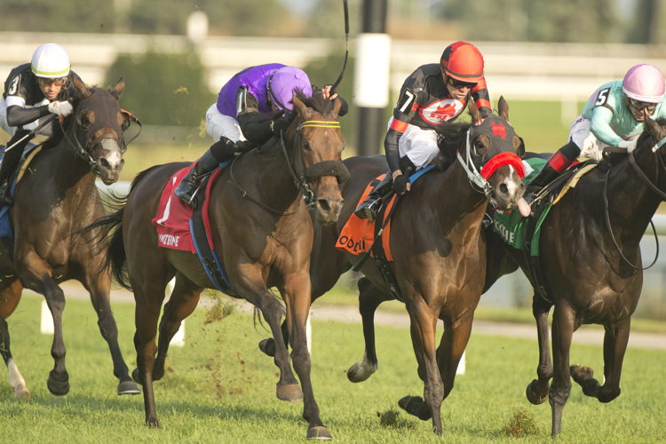 Owen's Tour Guide and jockey Jose Campos winning the Zadracarta Stakes on September 21, 2024 at Woodbine (Michael Burns Photo)