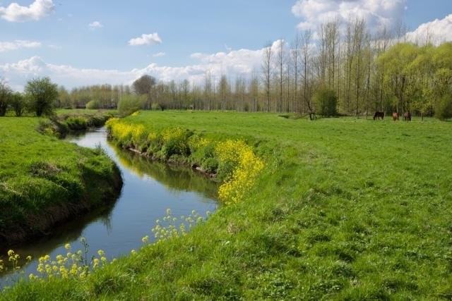 Typerdende landschapstypes: graslandvalleien