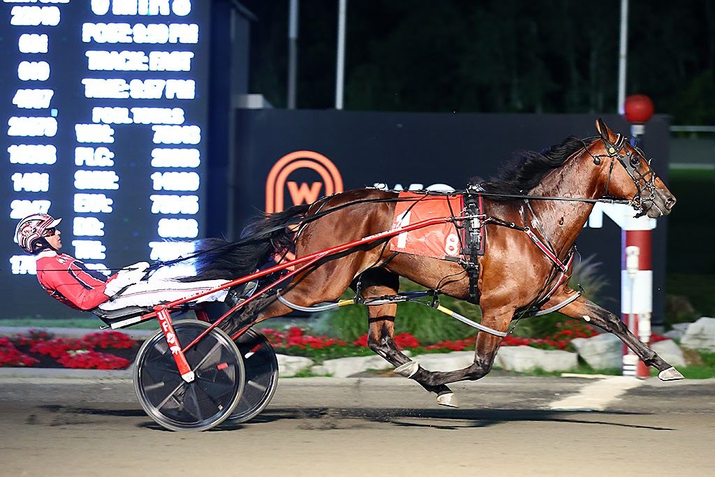 Tickertape Hanover. (New Image Media)
