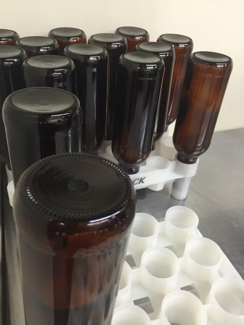 Sanitized bottles wait to be filled with cantaloupe gose
