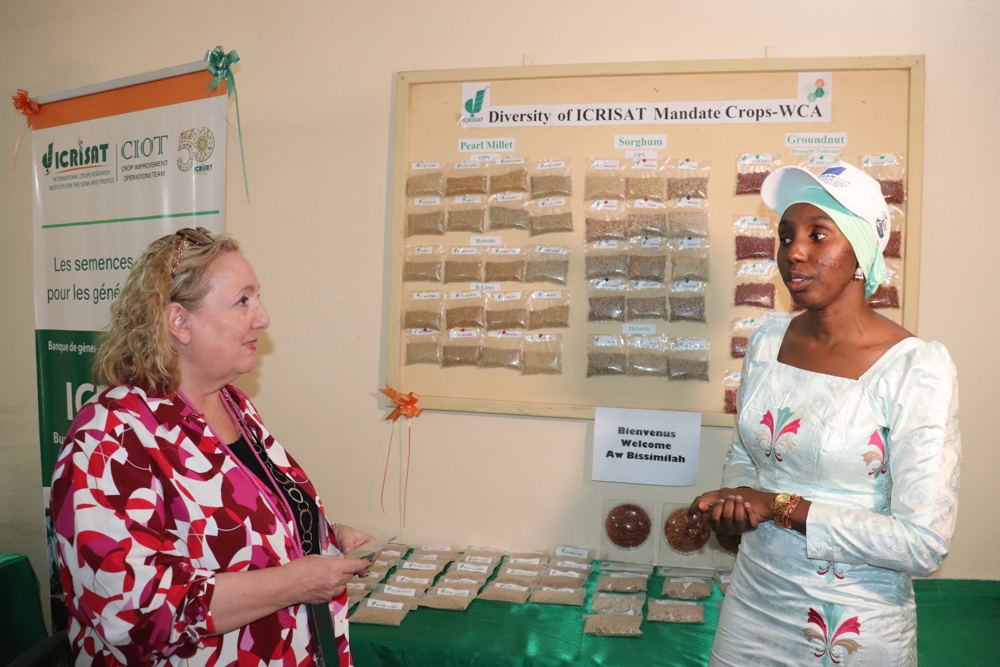 Visit to the ICRISAT genebank in Mali