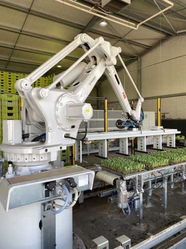 Robot arm to put one tray of plants from one conveyor to another