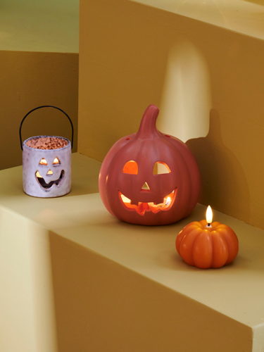 PUMPKIN PARTY LIGHT TERRA H 18 cm €9,95