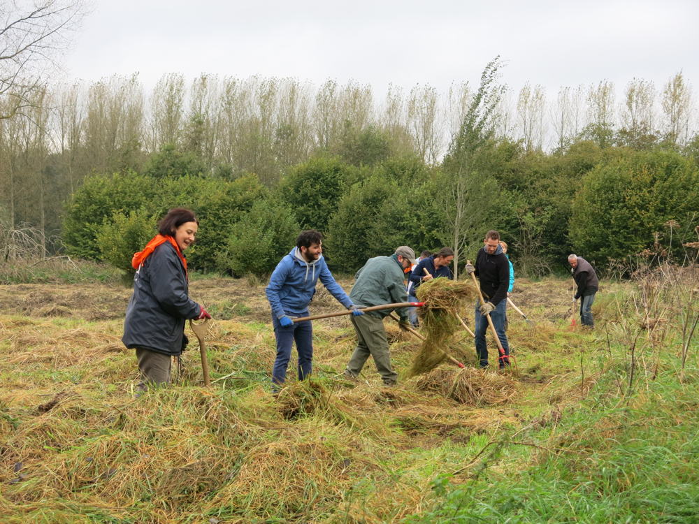 Gericht maaibeheer door vrijwilligers - copyright vzw Durme