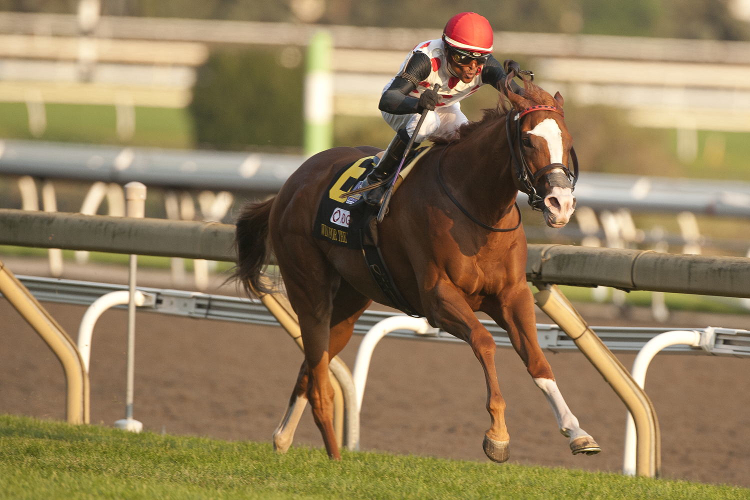 Win for the Money and jockey Patrick Husbands winning the Rogers Woodbine Mile (G1) on September 14, 2024 at Woodbine (Michael Burns Photo) 