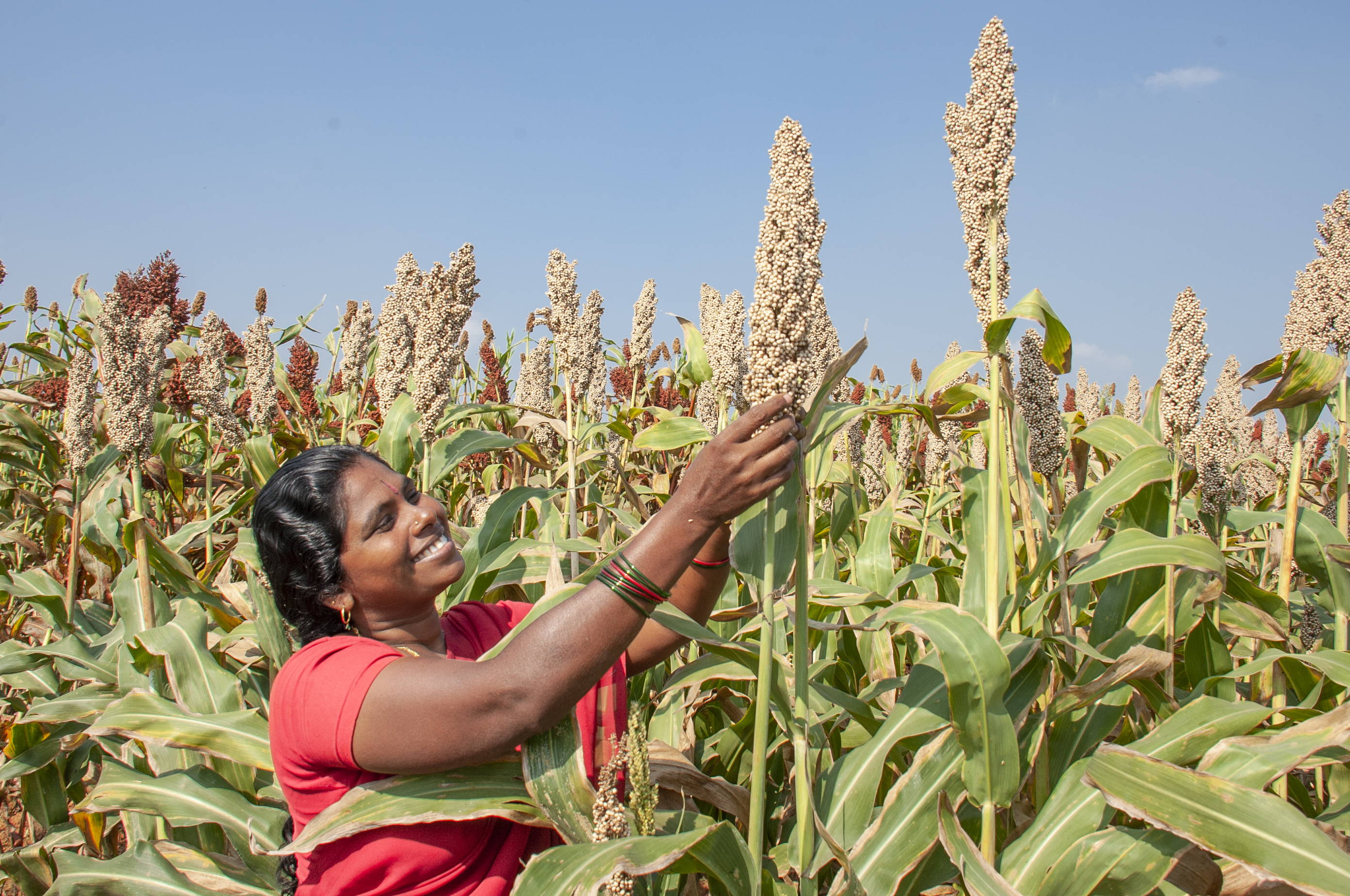 Agriculture and the Environment
