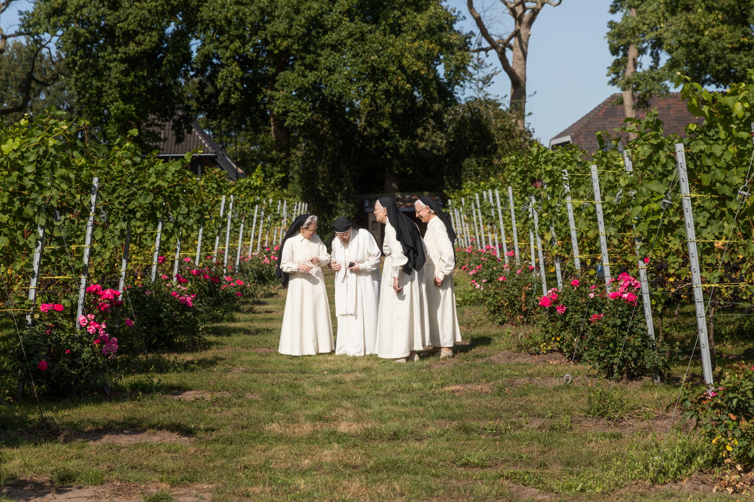 Sint Catharina dal (c) Willeke Machiels