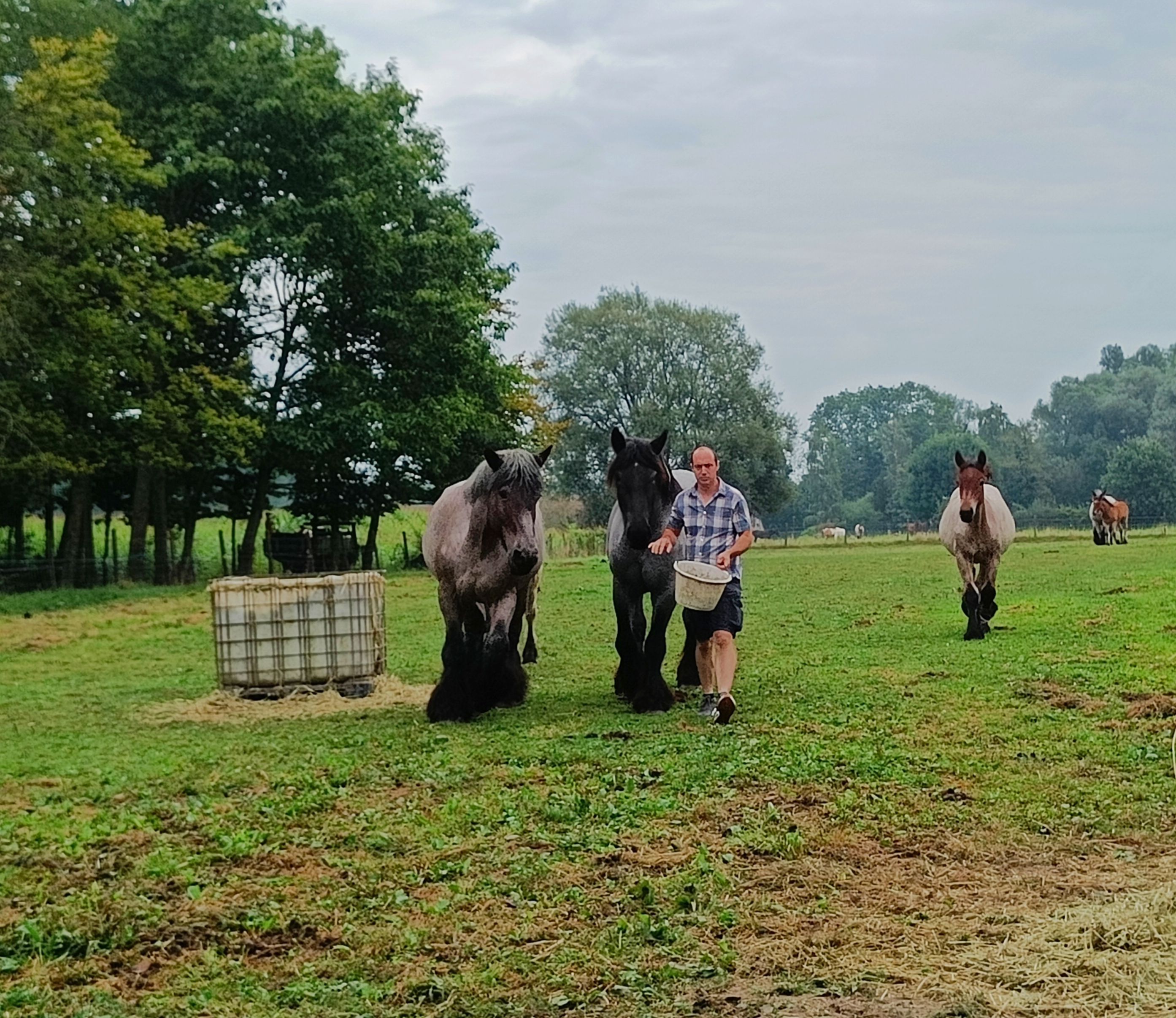 Het Bruggeveld in Dilbeek is één van de stoeterijen die, samen met Toerisme Vlaams-Brabant, een toeristisch programma gaat ontwikkelen.