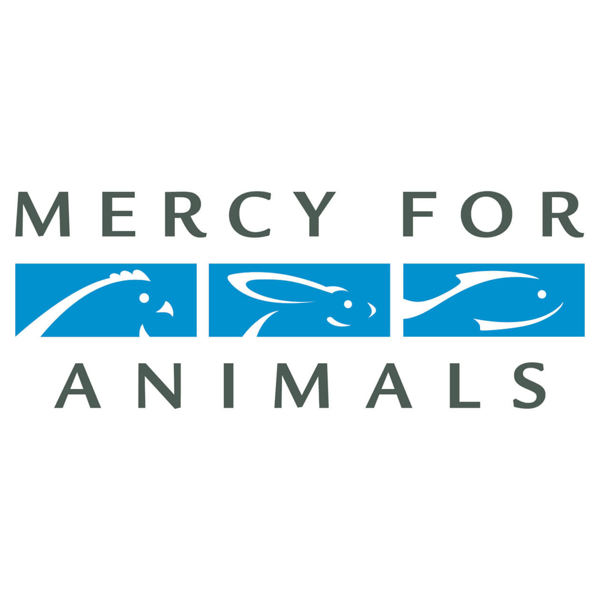 CONGRESO ACTÚA PARA ELIMINAR LA TORTURA ANIMAL TRAS INVESTIGACIÓN DE MERCY FOR ANIMALS