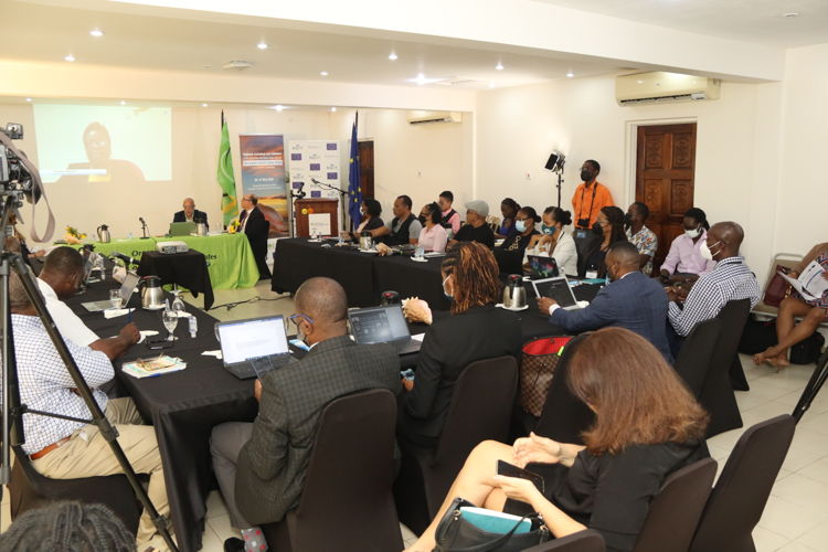 The Blue BioTrade Regional Workshop was held in a hybrid format, allowing participation from a wide array of stakeholders.