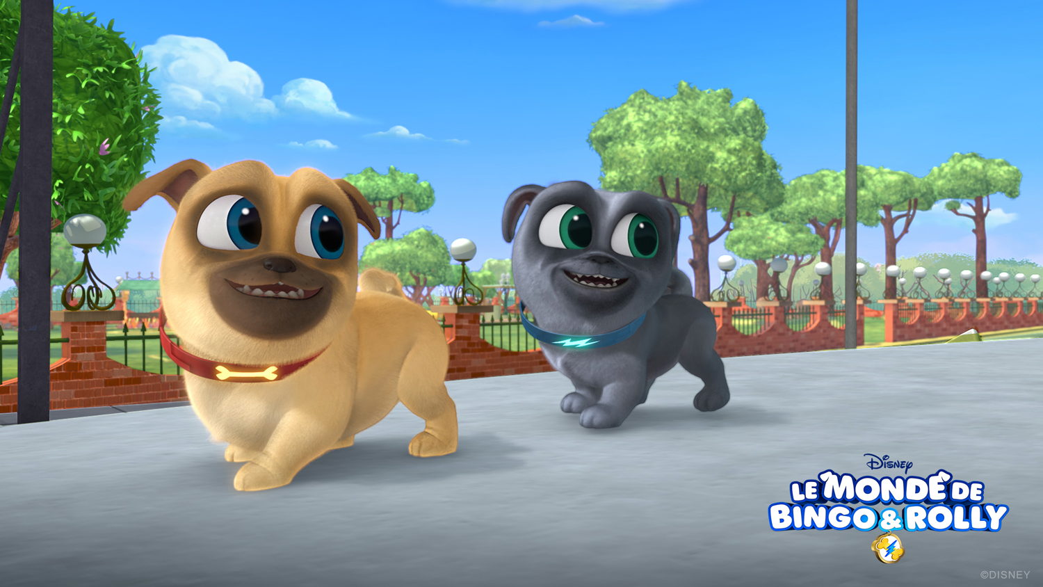Bingo & Rolly