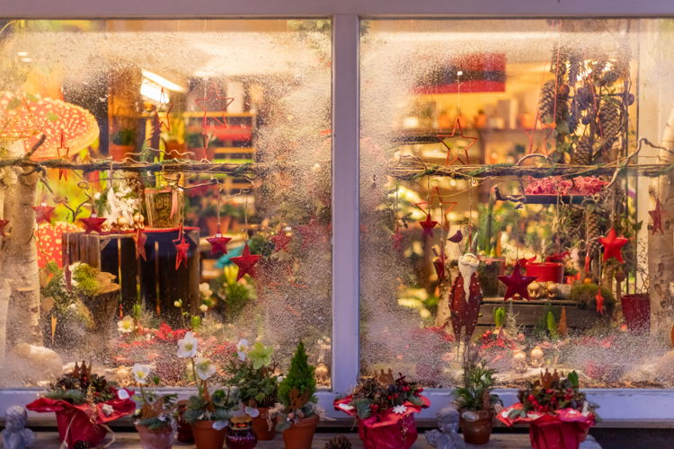 Celle Christmas Market © Celle Tourismus