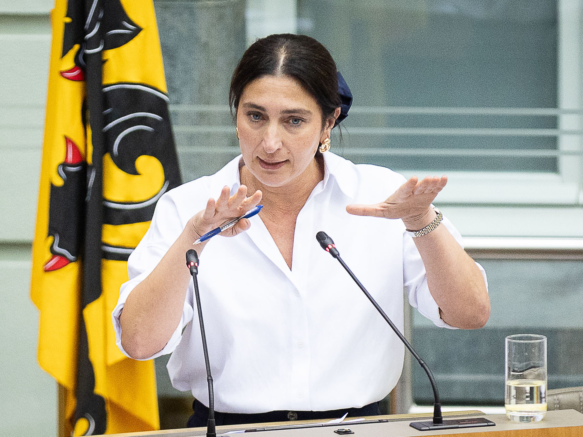 Education minister unveils new knowledge-rich curriculum for Flemish primary education 