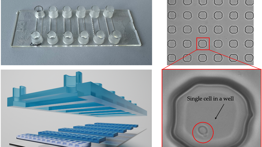 New “Nanomotion” technology set to revolutionize space medicine and the search for alien life