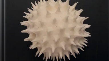 Des chercheurs de la VUB appellent à une plus grande diversité épistémique dans l'intelligence artificielle