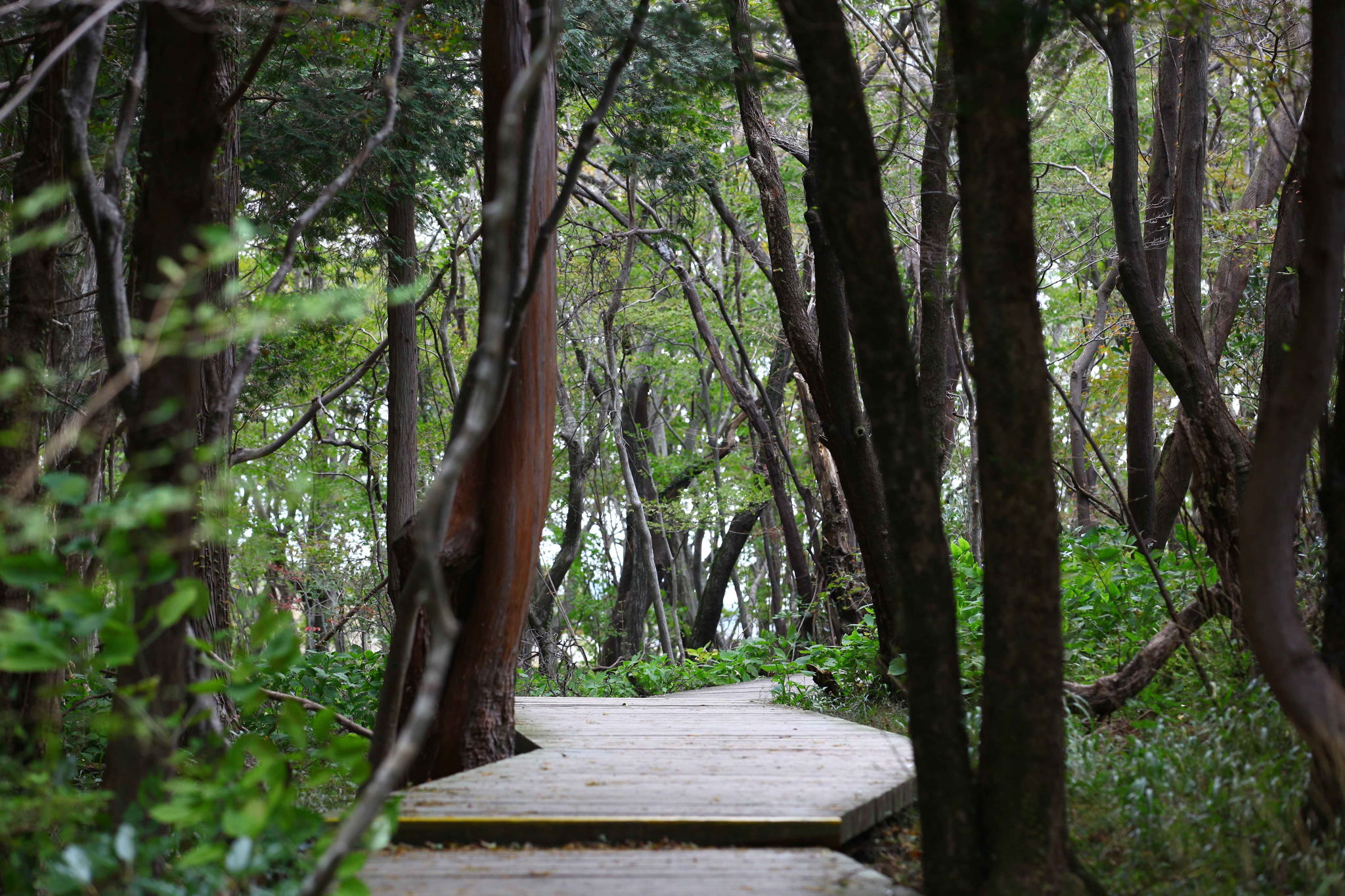 © Korea Tourism Organization - TmpSga © Korea Tourism Organization - TmpSga