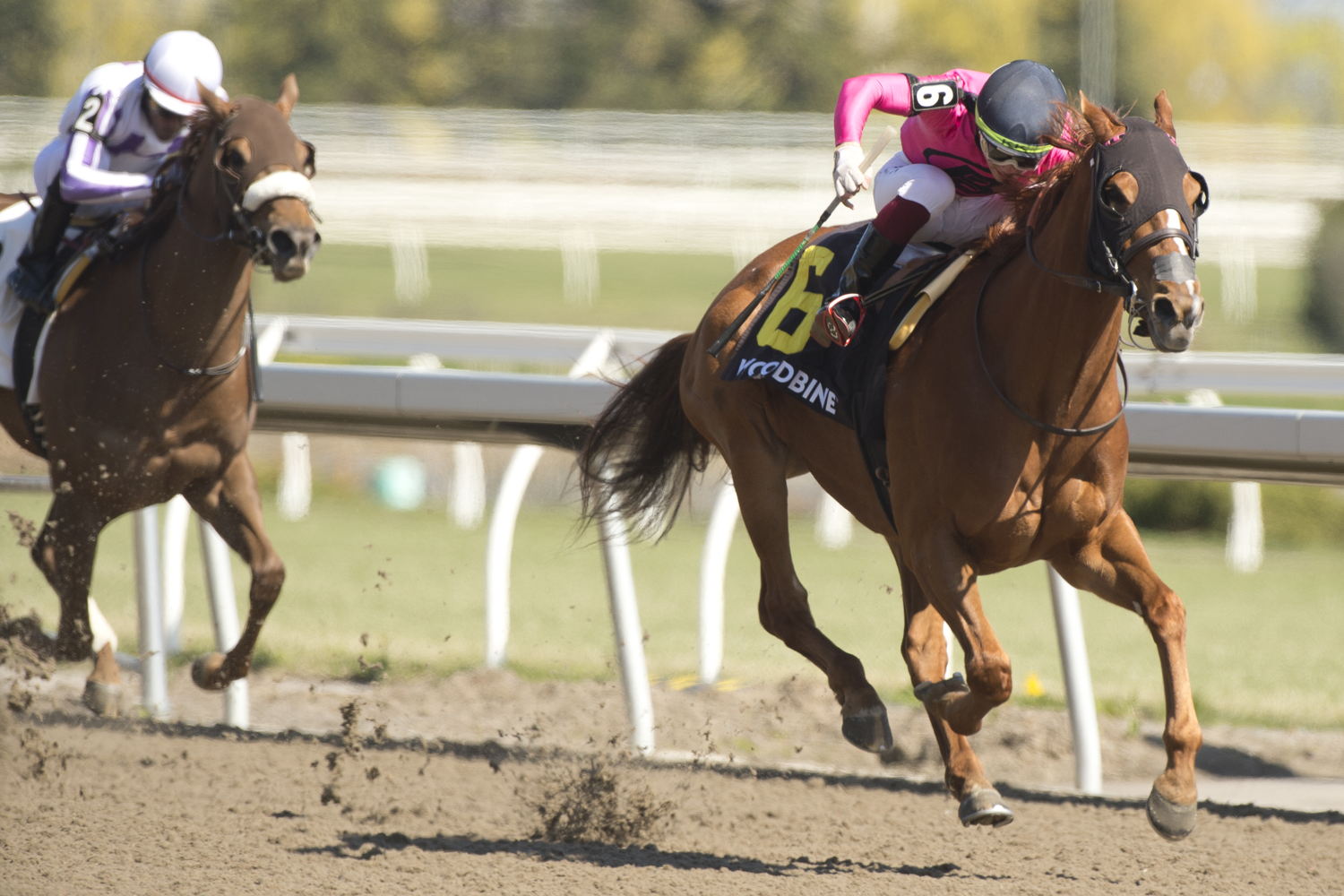 Our Secret Agent and Kazushi Kimura capture the Grade 3 Whimsical Stakes at Woodbine. (Michael Burn Photo)