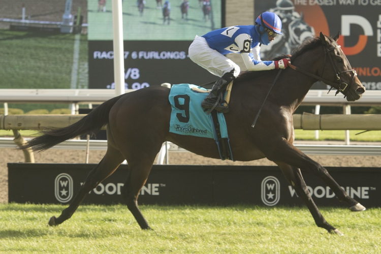 Cazadero and jockey Patrick Husbands winning the Nearctic Stakes on Saturday at Woodbine (Michael Burns Photo)