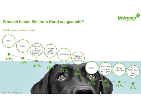 Trends in der Hunde-Erziehung: Lange Leine oder einfach nur schlecht erzogen?