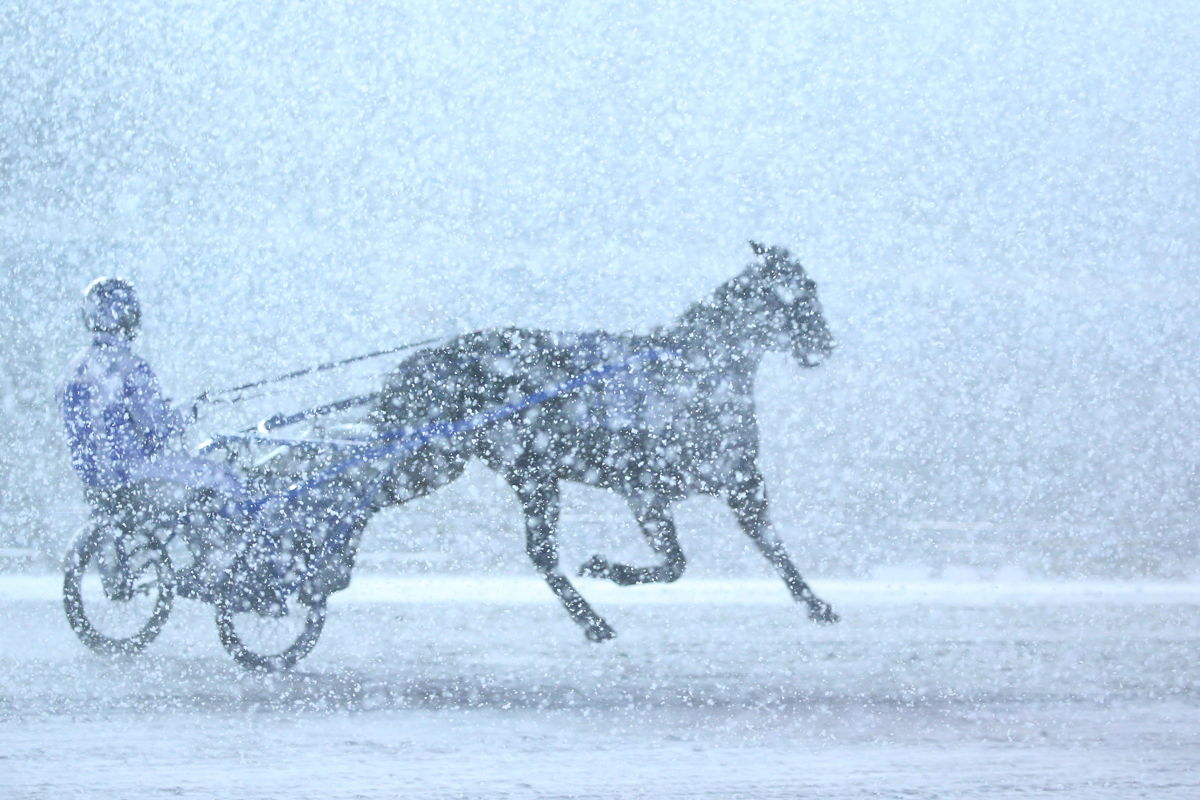 It's a winter wonderland at Woodbine Mohawk Park as racing continues with a packed schedule through the new year. (New Image Media) 