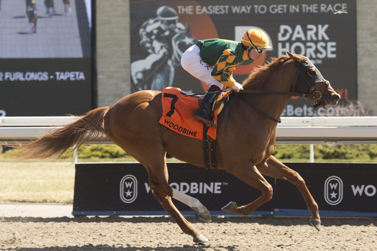 Arzak and jockey Kazushi Kimura cross the finish line first in the inaugural Thorncliffe Stakes in Track Record time at Woodbine on Sunday. (Michael Burns Photo) Arzak and jockey Kazushi Kimura cross the finish line first in the inaugural Thorncliffe Stakes in Track Record time at Woodbine on Sunday. (Michael Burns Photo)