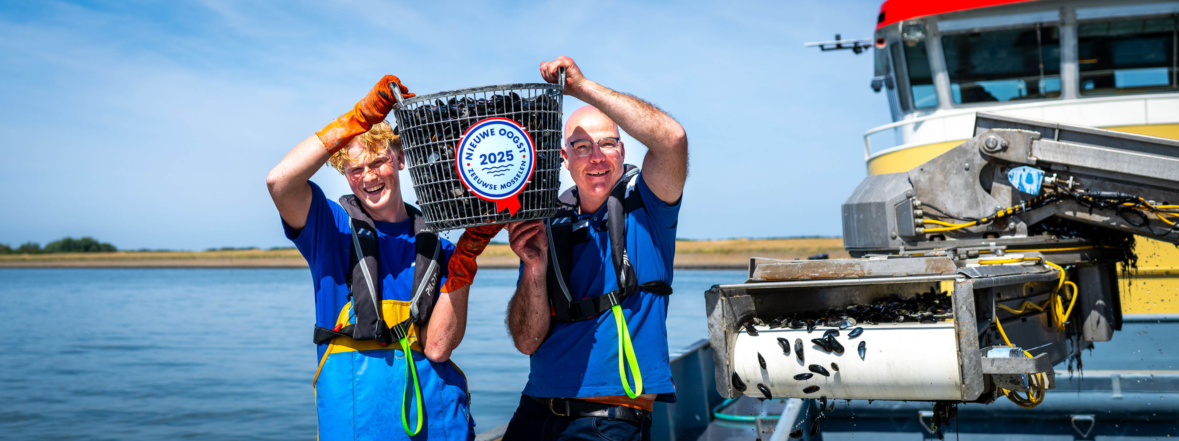 Météo ensoleillée : coup d’envoi historiquement précoce de la récolte de moules de zélande
