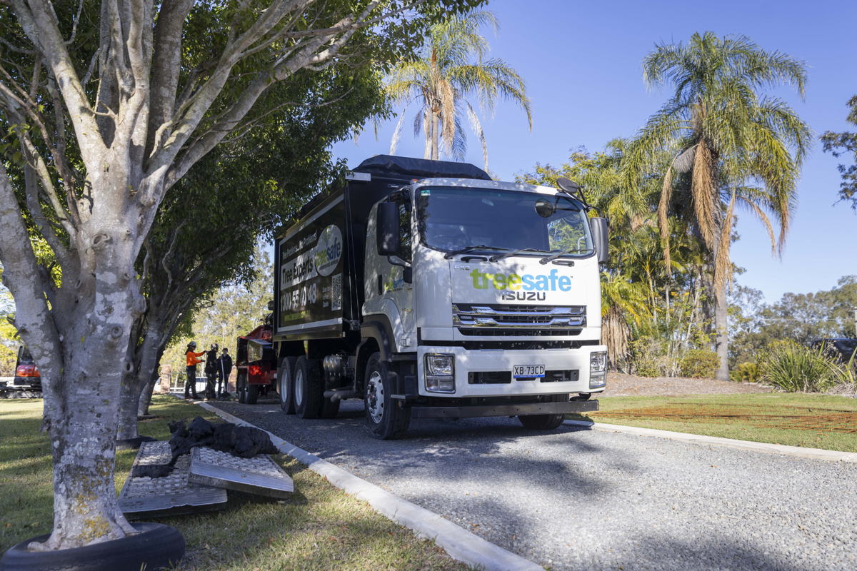 Among the Gum Trees: Queensland Arborist Treesafe Expands Fleet With Isuzu