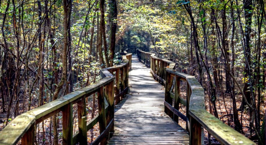 Congaree National Park, SC