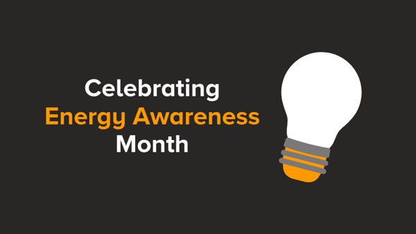 DLC Highlights Its Residential Rebates During Energy Awareness Month
