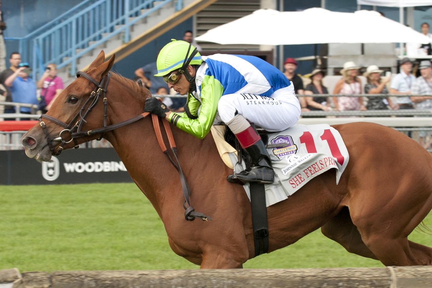 She Feels Pretty and John Velazquez winning the Grade 1 Natalma on Saturday at Woodbine Racetrack. (Michael Burns Photo)